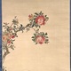 渡辺玄対 榴枝小禽図 4