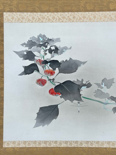 杉山寧 酸漿｜古美術・掛け軸の販売・買取・鑑定-松本松栄堂