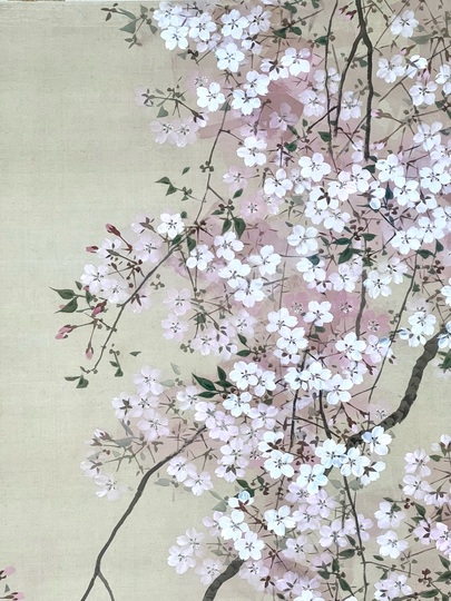 菊池芳文 枝垂桜群雀｜古美術・掛け軸の販売・買取・鑑定-松本松栄堂