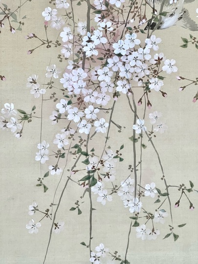 若木櫻ノ図 Japanese Print 