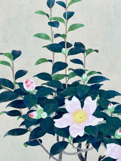 山口華楊 山茶花｜古美術・掛け軸の販売・買取・鑑定-松本松栄堂