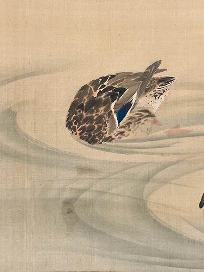 円山応挙 鴨番図｜古美術・掛け軸の販売・買取・鑑定-松本松栄堂