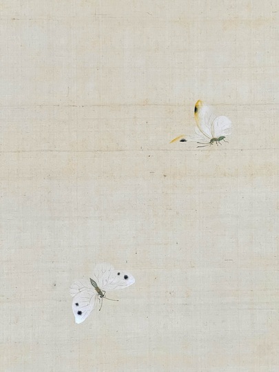 鈴木其一 菜花胡蝶図｜古美術・掛け軸の販売・買取・鑑定-松本松栄堂