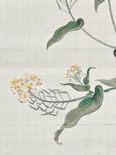 鈴木其一 菜花胡蝶図｜古美術・掛け軸の販売・買取・鑑定-松本松栄堂