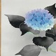 杉山寧 玉繡花 4
