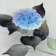 杉山寧 玉繡花 5