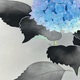 杉山寧 玉繡花 8