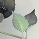 杉山寧 玉繡花 11