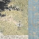 川合玉堂 湖村春色 3