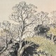 川合玉堂 湖村春色 11