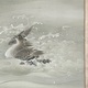 榊原紫峰 浴びる水禽 4