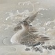 榊原紫峰 浴びる水禽 7