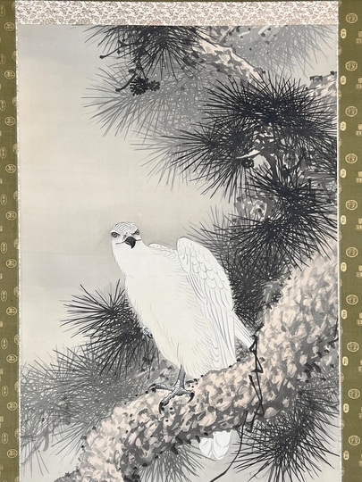 今尾景年 老松白鷹図｜古美術・掛け軸の販売・買取・鑑定-松本松栄堂