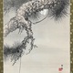 今尾景年 老松白鷹図 6