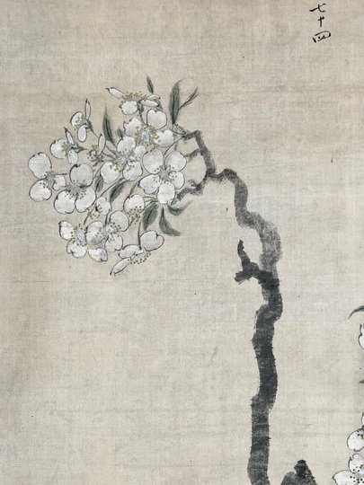 立原杏所　花鳥画　掛け軸　合わせ箱　水戸藩士　書画、骨董品、美術品 立原杏所 花鳥画 掛け軸 合わせ箱 水戸藩士 書画、骨董品、美術