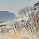児玉希望 島の春 6