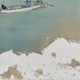 竹内栖鳳 海辺風光 8