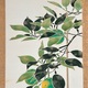 山口華楊 春光 5
