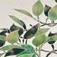 山口華楊 春光 8