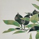 山口華楊 春光 9
