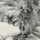 岡田半江 秋渓高逸図 12