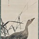 渡辺省亭 芦雁 5