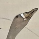 渡辺省亭 芦雁 7