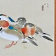 土田麦僊 鴛鴦図 6