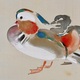 土田麦僊 鴛鴦図 5