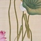 松村景文 紅蓮白蓮 9