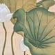 松村景文 紅蓮白蓮 8
