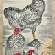福田平八郎 早春 5