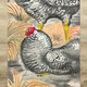 福田平八郎 早春 7