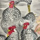 福田平八郎 早春 9