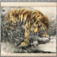 大橋翠石 水辺猛虎図 2