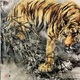 大橋翠石 水辺猛虎図 4