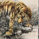 大橋翠石 水辺猛虎図 5