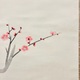 安田靫彦 紅梅 4