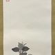 村上華岳 椿花 5