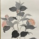 村上華岳 椿花 8