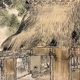 柴田是真 田家収穫図 16