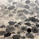 皆川淇園 蓮図 9