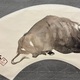 竹内栖鳳 臥牛 6