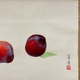 杉山寧 果子図 5
