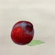 杉山寧 果子図 7