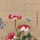 狩野伊川院栄信 草虫図 11