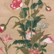 狩野伊川院栄信 草虫図 12
