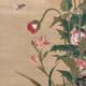 狩野伊川院栄信 草虫図 13