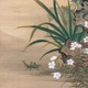 狩野伊川院栄信 草虫図 16