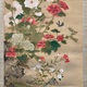 狩野伊川院栄信 草虫図 21